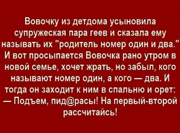 Вовочку из детдома усыновила супружеская пара геев и сказала ему называть их 