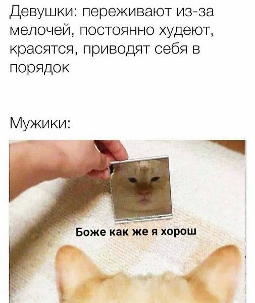 Девушки: переживают из-за мелочей, постоянно худеют, красятся, приводят себя в порядок

Мужики:

Боже как же я хорош