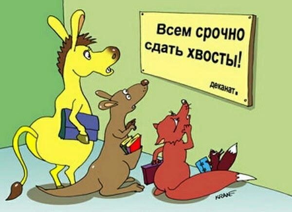 Всем срочно сдать хвосты!
деканат.