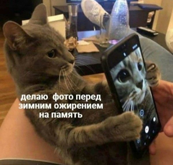 делаю фото перед зимним ожирением на память