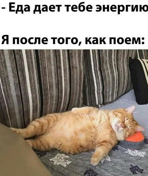 - Еда даёт тебе энергией
Я после того, как поем: