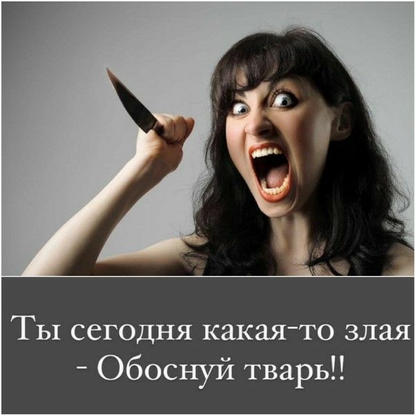 Ты сегодня какая-то злая - Обоснуй тварь!!