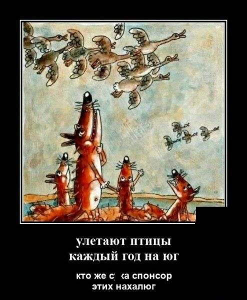 улетают птицы каждый год на юг  кто же с(а спонсор этих нахалюй