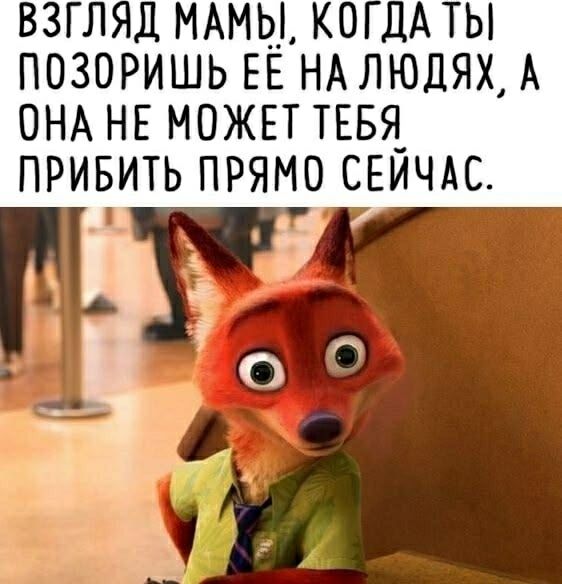 ВЗГЛЯД МАМЫ, КОГДА ТЫ ПОЗОРИШЬ ЕЁ НА ЛЮДЯХ, А ОНА НЕ МОЖЕТ ТЕБЯ ПРИБИТЬ ПРЯМО СЕЙЧАС.
