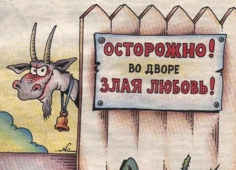 ОСТОРОЖНО! во дворе ЗЛАЯ ЛЮБОВЬ!