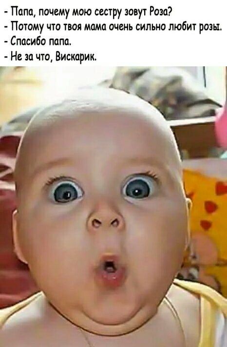 - Папа, почему мою сестру зовут Роза? - Потому что твоя мама очень любит розы. - Спасибо папа. - Не за что, Вискарик.