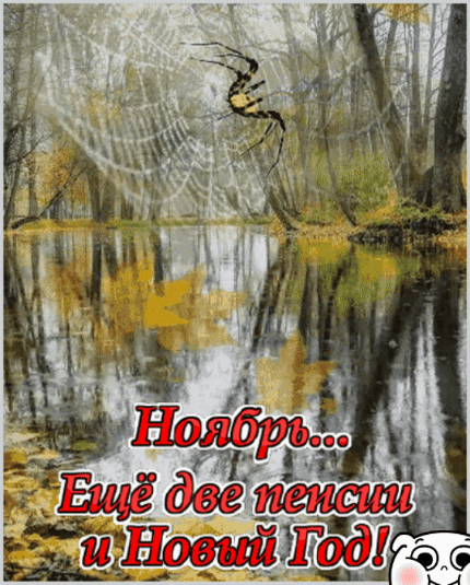 Ноябрь... Ещё две пенсии и Новый Год!