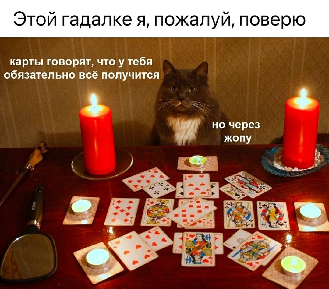 Этой гадалке я, пожалуй, поверью
карты говорят, что у тебя обязательно всё получится
но через жопу