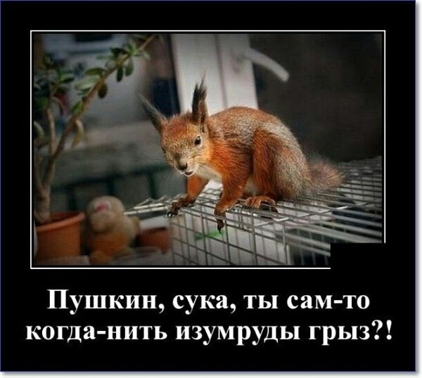 Пушкин, сука, ты сам-то когда-нить изумруды грыз?!
