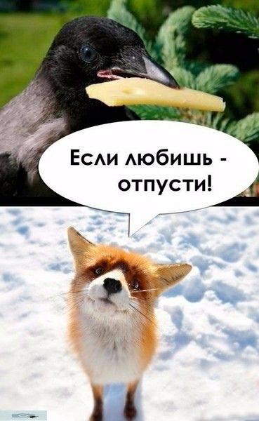 Если любишь - отпусти!