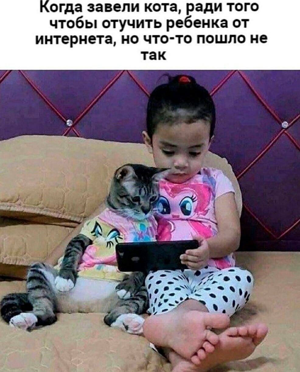 Когда завели кота, ради того чтобы отучить ребенка от интернета, но что-то пошло не так