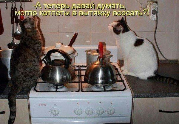А теперь давай думать, могло котлеты в вытяжку всосать?!