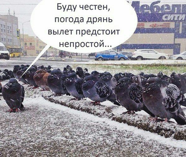 Буду честен, погода дрянь вылет предстоит непростой...