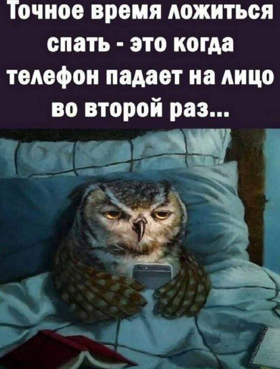 Точное время ложиться спать - это когда телефон падает на лицо во второй раз...