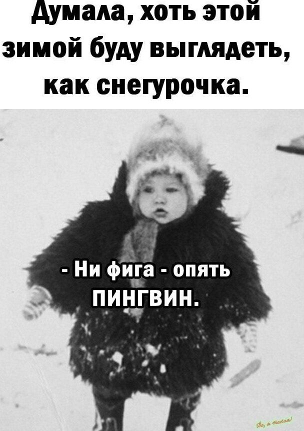Думала, хоть этой зимой буду выглядеть, как снегурочка. - Ни фига - опять ПИНГВИН.