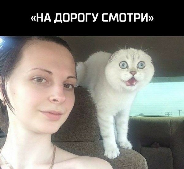 НА ДОРОГУ СМОТРИ