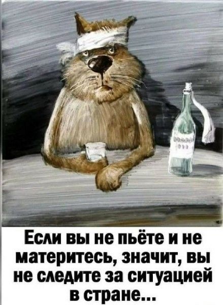 Если вы не пьёте и не материтесь, значит, вы не следите за ситуацией в стране...