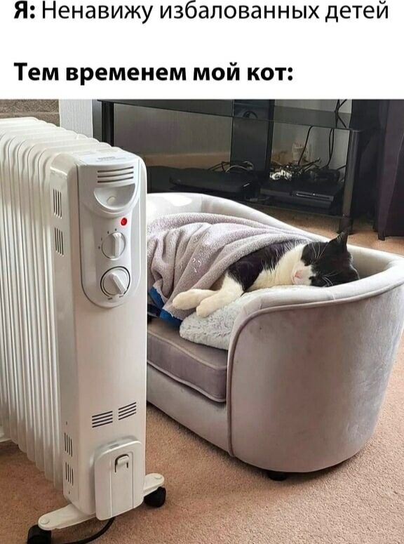 Я: Ненавижу избалованных детей
Тем временем мой кот: