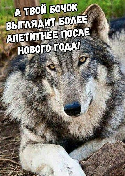 А ТВОЙ БОЧОК ВЫГЛЯДИТ БОЛЕЕ АПЕТИТНЕЕ ПОСЛЕ НОВОГО ГОДА!