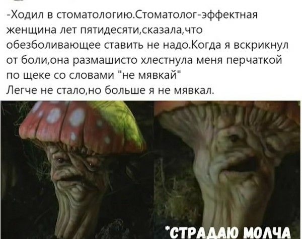 -Ходил в стоматологию. Стоматолог — эффектная женщина лет пятидесяти, сказала, что обезболивающее ставить не надо. Когда я вскрикнул от боли, она размахнула клещницу перчаткой по щеке со словами 'не мявкай'. Легче не стало, но больше я не мявкал.