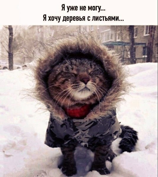 Я уже не могу... Я хочу деревья с листьями...