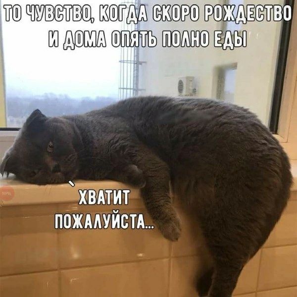 ТО ЧУВСТВО, КОГДА СКОРО РОЖДЕСТВО И ДОМА ОПЯТЬ ПОЛНО ЕДЫ
ХВАТИТ ПОЖАЛУЙСТА...