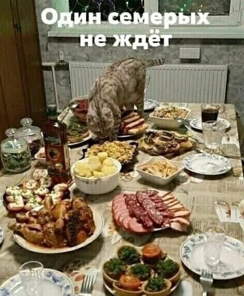 Один семерых не ждёт