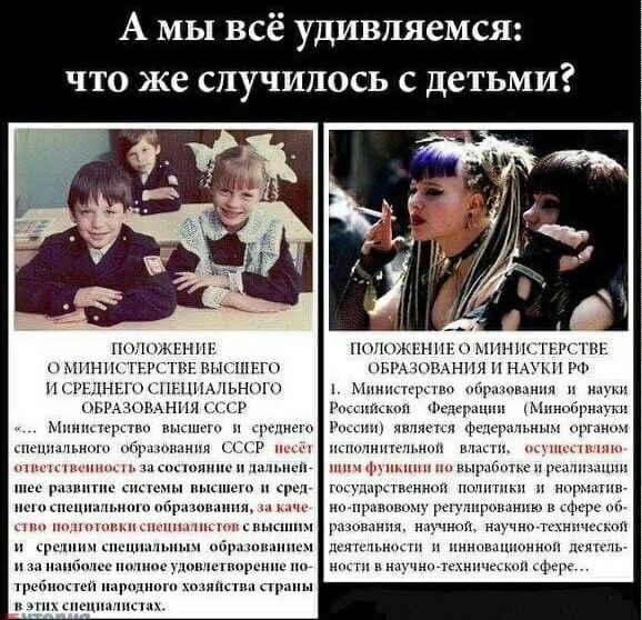 А мы всё удивляемся: что же случилось с детьми? Положение о Министерстве высшего и среднего специального образования СССР. Министерство отвечает за систему высшего и среднего образования. Положение о Министерстве образования и науки РФ — федеральный орган исполнительной власти, реализующий госполитику в образовании.