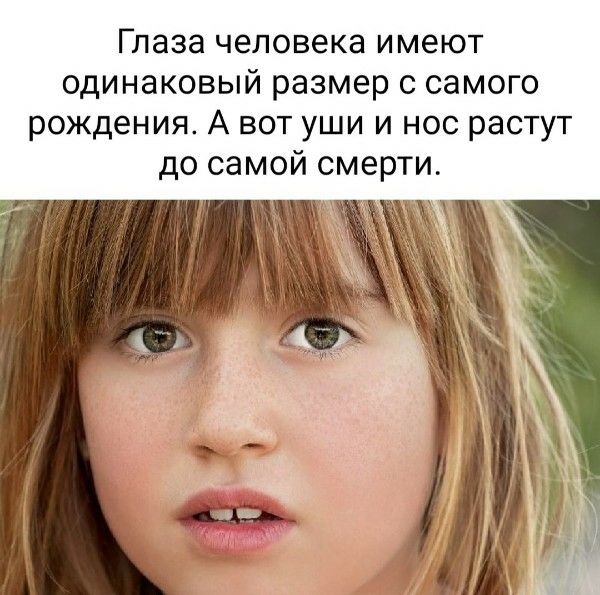 Глаза человека имеют одинаковый размер с самого рождения. А вот уши и нос растут до самой смерти.