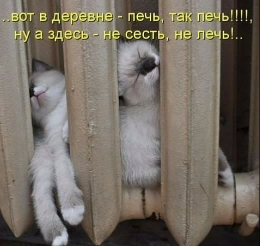 вот в деревне - печь, так печь!!!!, ну а здесь - не сесть, не лечь!