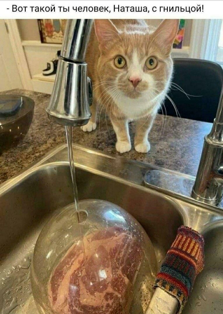 Вот такой ты человек, Наташа, с гнильёй!