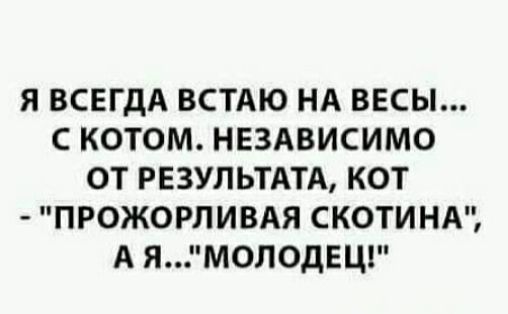 Я ВСЕГДА ВСТАЮ НА ВЕСЫ... С КОТОМ. НЕЗАВИСИМО ОТ РЕЗУЛЬТАТА, КОТ - 'ПРОЖОКЛИВАЯ СКОТИНА', А Я...'МОЛОДЕЦ!'
