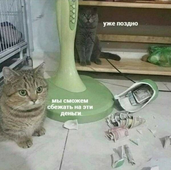 уже поздно
мы сможем сбежать на эти деньги