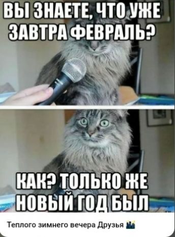 Вы знаете, что уже завтра февраль? Как только же новый год был. Теплого зимнего вечера, ДРУЗЬЯ