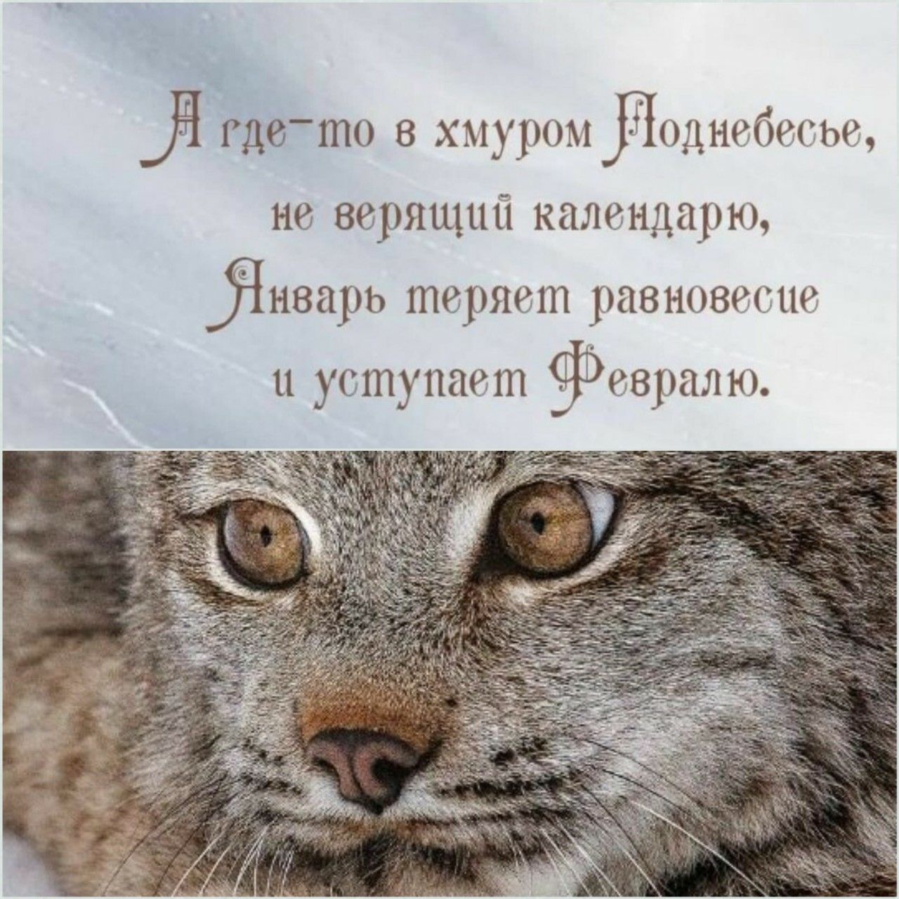 Я где-то в хмуром Флоднебесье, не верящий календарю, Январь теряет равновесие и уступает Февралю.