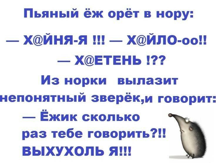 Пьяный ёж орёт в нору: — Х@Йня-я !!! — х@Йло-оо!! — х@ЕТЕНЬ !? Из норки вылезит непонятный зверёк, и говорит: — Ёжик сколько раз тебе говорить?! ВЫХУХОЛЬ Я!!!