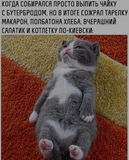 КОГДА СОБИРАЛСЯ ПРОСТО ВЫПИТЬ ЧАЙКУ С БУТЕРБРОДОМ. НО В ИТОГЕ СОЖРАЛ ТАРЕЛКУ МАКАРОН. ПОЛБАТОНА ХЛЕБА, ВЧЕШАННЫЙ САЛАТИК И КОТЛЕТКУ ПО-КИЕВСКИ: