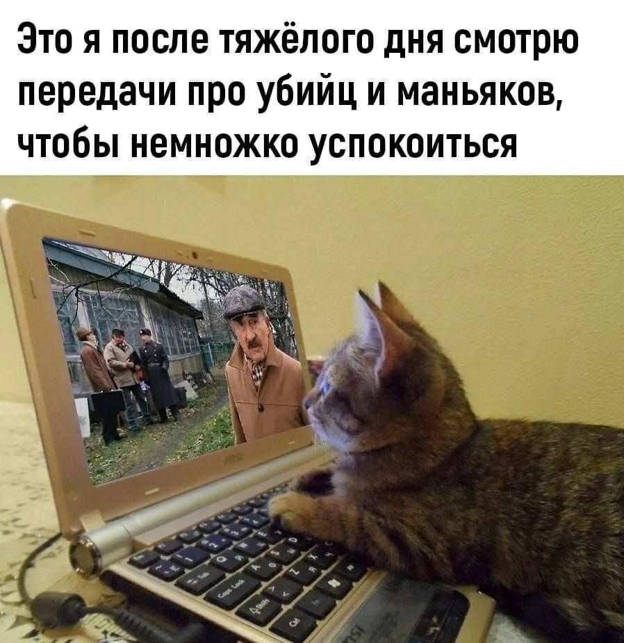 Это я после тяжёлого дня смотрю передачи про убийц и маньяков, чтобы немножко успокоиться