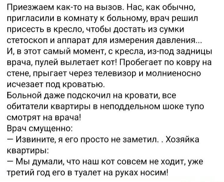 Приезжаем на вызов. Врач решил достать стетоскоп и аппарат. И в этот момент кот с кресла вылетает, проскользнув под кровать. Больной даже подскочил на кровати, жильцы смотрят в шоке. Врач: Простите, я его просто не заметил. Хозяйка: Мы думали, кот совсем не ходит, третий год носим его в туалет на руках.