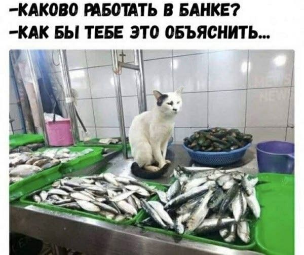 -КАКОВО РАБОТАТЬ В БАНКЕ?
-КАК БЫ ТЕБЕ ЭТО ОБЪЯСНИТЬ...