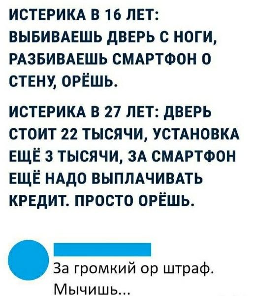 Истерика в 16 лет: выбиваешь дверь ногами, разбиваешь смартфон о стену, орёшь. Истерика в 27 лет: дверь стоит 22 тысячи, установка ещё 3 тысячи, за смартфон ещё надо выплачивать кредит. Просто орёшь.
