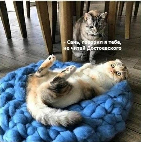— Сань, говорил я тебе, не читай Достоевского