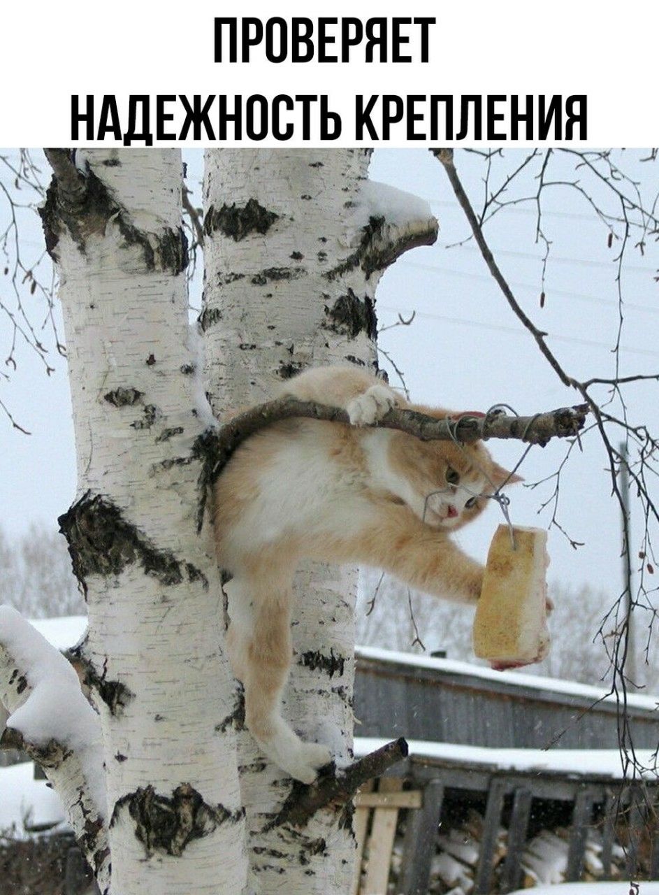 ПРОВЕРЯЕТ НАДЕЖНОСТЬ КРЕПЛЕНИЯ