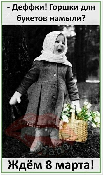 - Деффки! Горшки для букетов намыли? Ждём 8 марта!