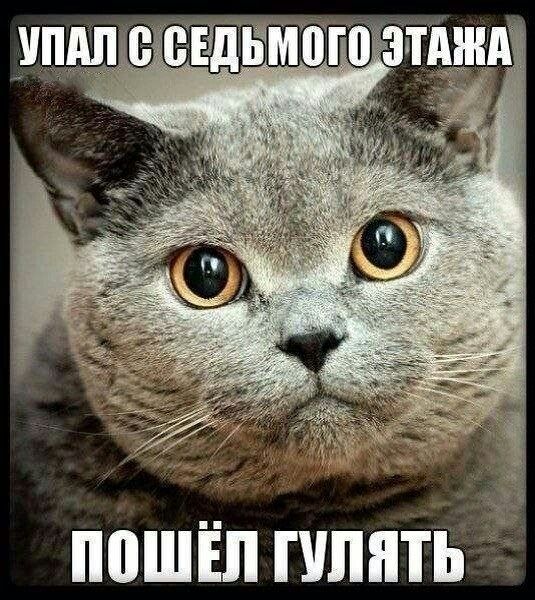 Упал с седьмого этажа пошёл гулять