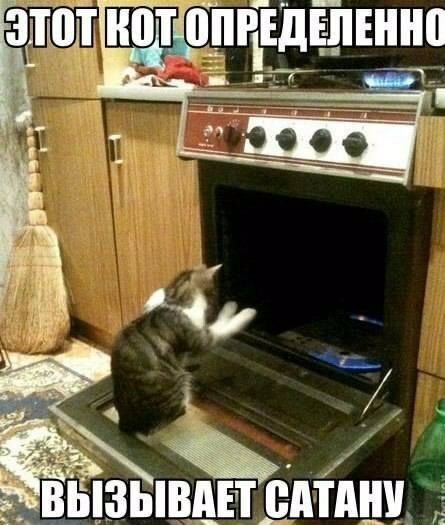 ЭТОТ КОТ ОПРЕДЕЛЕННО ВЫЗЫВАЕТ САТАНУ