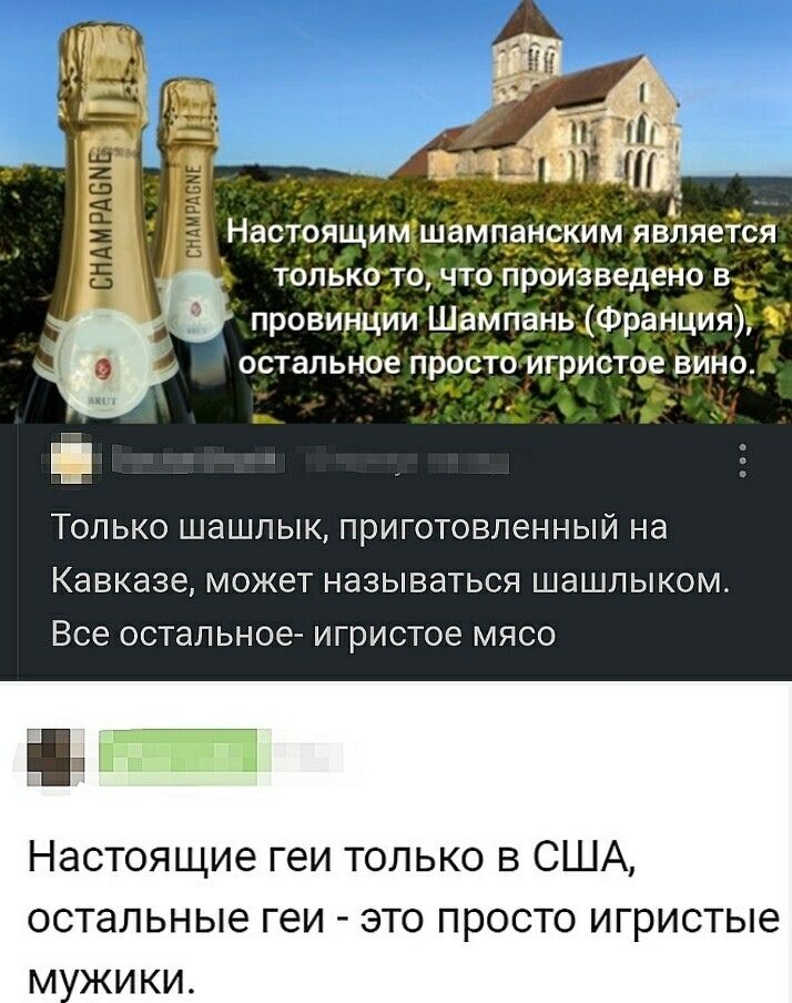 Настоящим шампанским является только то, что произведено в провинции Шампань (Франция), остальное просто игристое вино. Только шашлык, приготовленный на Кавказе, может называться шашлыком. Все остальное - игристое мясо. Настоящие геи только в США, остальные геи - это просто игристые мужики.