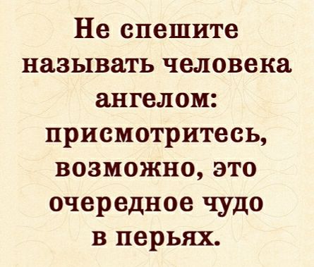 Не спешите называть человека ангелом: присмотритесь, возможно, это очередное чудо в перьях.