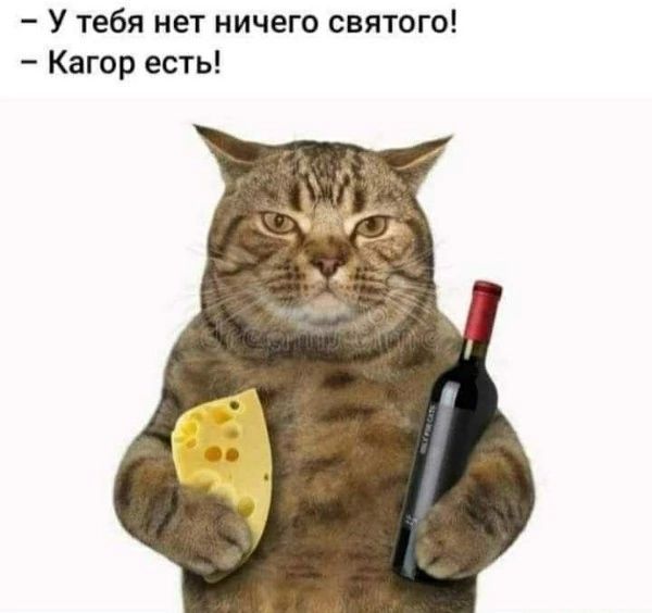 У тебя нет ничего святого! - Кагор есть!