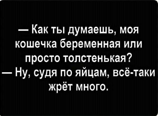 — Как ты думаешь, моя кошечка беременная или просто толстенькая?
— Ну, судя по яйцам, всё-таки жрёт много.